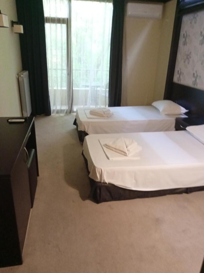 Park Hotel Stratesh 로베치 객실 사진